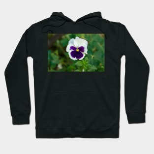 Field flowers. Spring day Hoodie